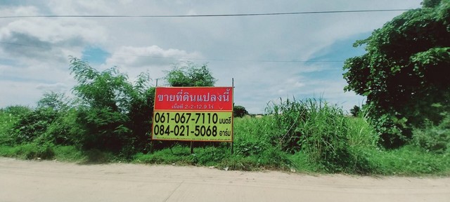 SaleLand ขายที่ดิน  2-2-12.9 ไร่  วัดไทรย์  เมืองนครสวรรค์