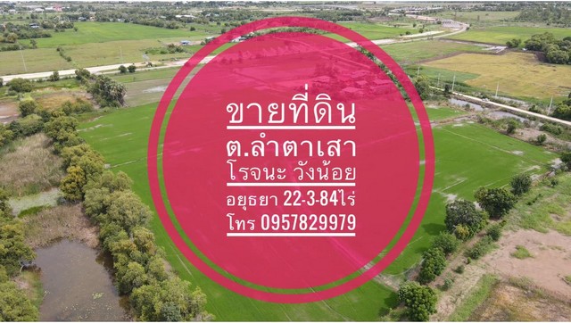 ขายที่ดิน ขายที่ดิน ลำตาเสา โรจนะ วังน้อย อยุธยา