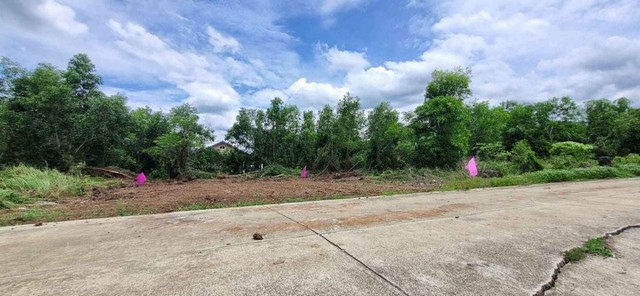 ที่ดินผ่อนหนองเสือ น้ำและไฟฟ้ามีครบ ขนาด 63 ตรว. ผ่อนได้นาน 3 ปี