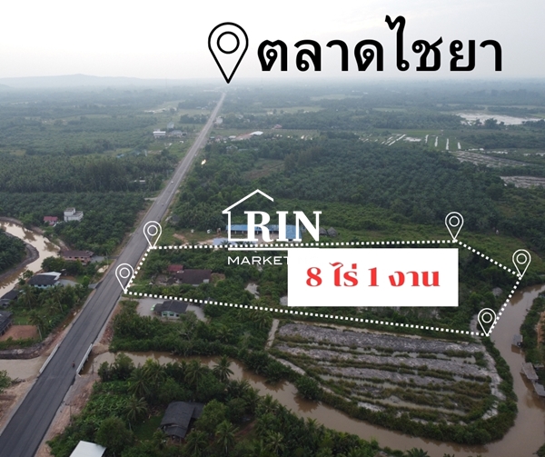 R043-005ขายที่ดินหน้าติดถนนหมายเลข 4011 ไชยา-พุมเรียง อ.ไชยา จ.สุราษฎร์ธานี ด้านหลังติดคลอง