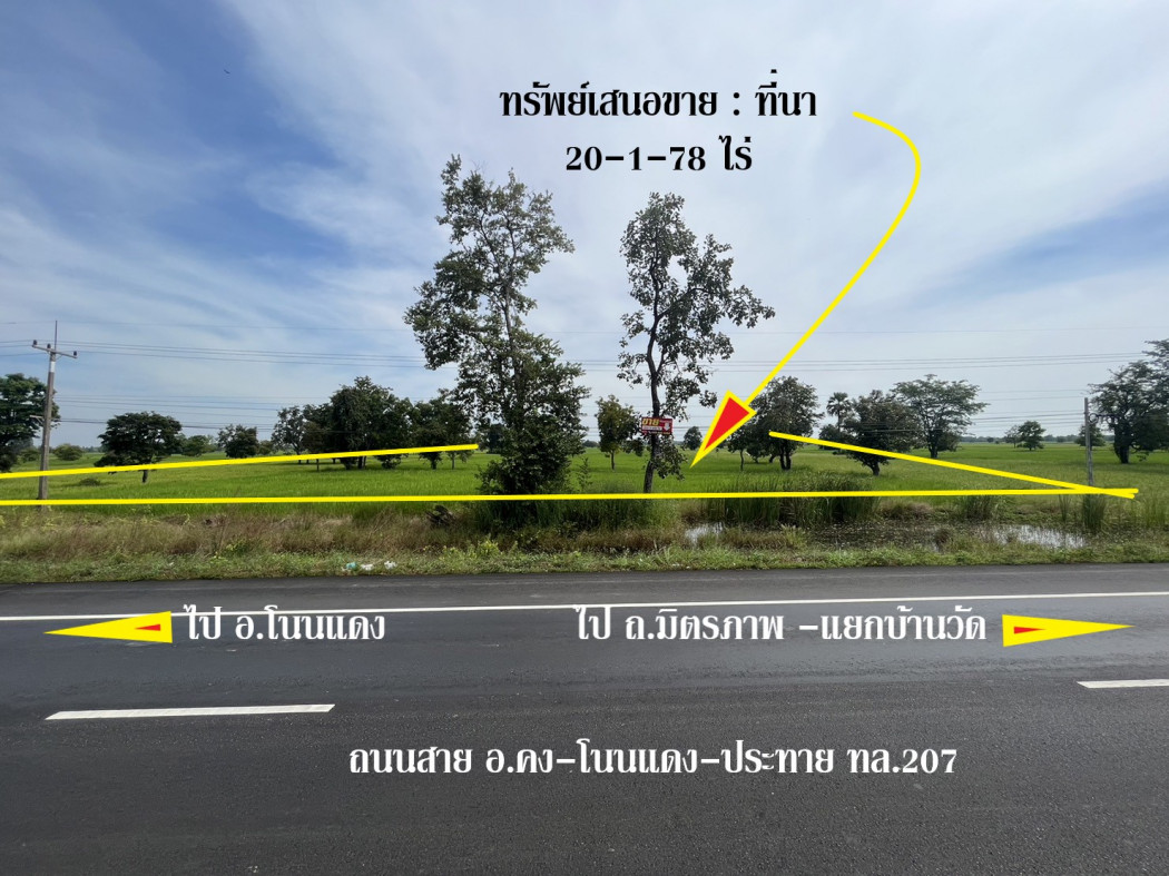 ขาย ที่ดิน ติดถนนสาย อ.คง-ประทาย ทล.207 ต.เทพาลัย อ.คง จ.นครราชสีมา 20 ไร่ 1 งาน 78 ตรว ใกล้พื้นที่ก่อสร้างโครงการพืชสวนโลก ปี 2572