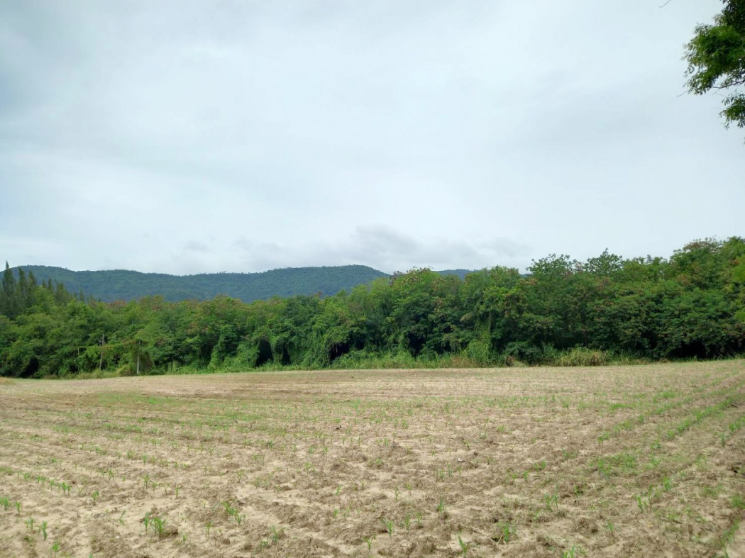 SaleLand Land for sale 5-2-40 rai, Pak Chong, Khao Yai, good location, near tourist attractions Toscana, about 1 km.