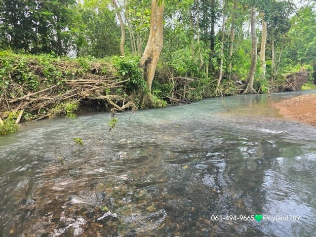 ขายที่ติดลำธาร 1 ไร่ ต.นาหินลาด อ.ปากพลี จ.นครนายก