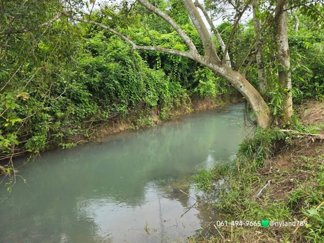 ขายที่ดินติดธารน้ำ ต.นาหินลาด อ.ปากพลี จ.นครนายก