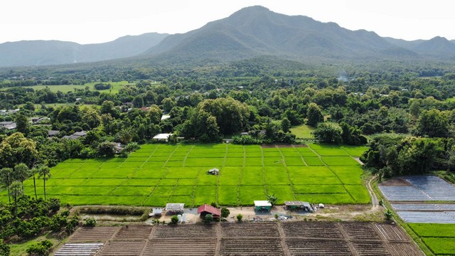 SaleLand ขายที่นาวิวดอยสวยงามลงตัวเหมาะทำรีสอร์ท บ้านสวน