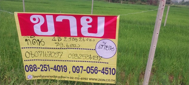 ขายที่ดินเปล่า พื้นที่ 4ไร่ 2งาน 95.9ตรว  ใกล้หอพักจิรา  บ่อแฮ้ว 