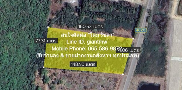 SaleLand ขายที่ดินเปล่าติดถนน ปข.4020  สามร้อยยอด ประจวบ 6-1-70 ไร่ 