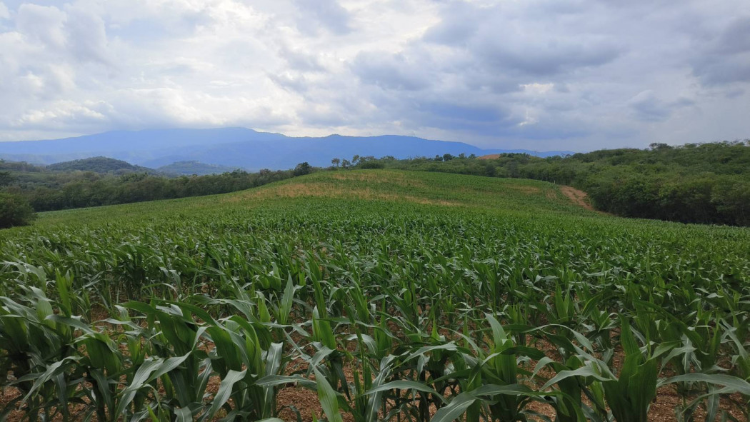 SaleLand Beautiful land plot with mountain view, 64 rai, on a hill, 469 m. high, Khao Yai.