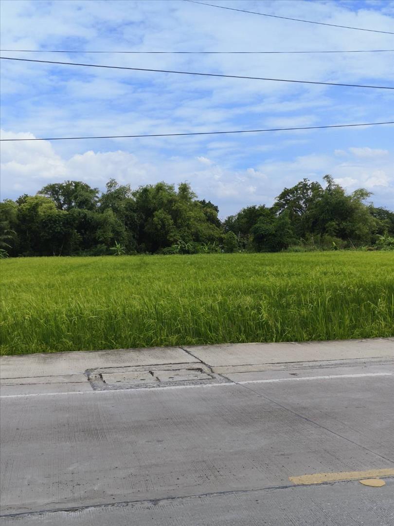 SaleLand Sale Land 6 Rais closed main road at Hathairat Klong sam wa