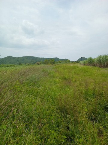 ขายที่ดิน ขายที่ดินทำเลดี 5 ไร่  ตำบลธรรมเสน อำเภอโพธาราม จังหวัดราชบุรี