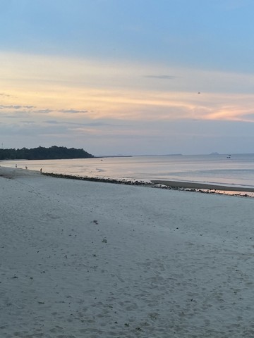 ทรัพย์ขายเช่าเอาใจลูกค้าต่อได้ ขายที่สวย ใกล้หาดสะพลี