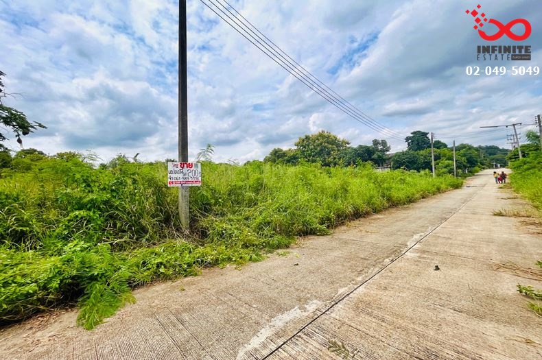 ขายที่ดิน 200 ตารงวา ถนนมิตรภาพ ซอยวัวยิ้ม สระบุรี