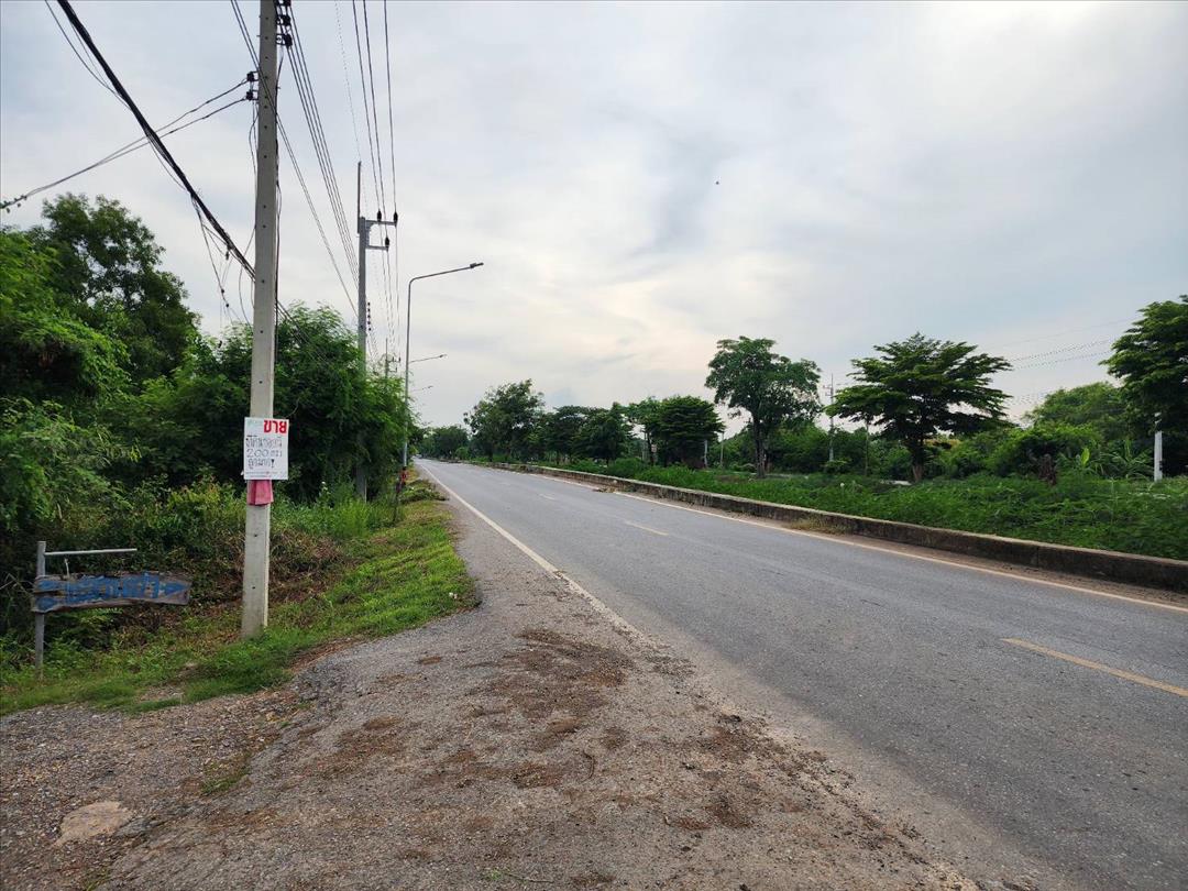 ขายที่ดิน ขาย ที่ดินราคาถูก จ.ปทุมฯ อ.หนองเสือ ต.บึงกาสาม ขนาด 100 ตรว.