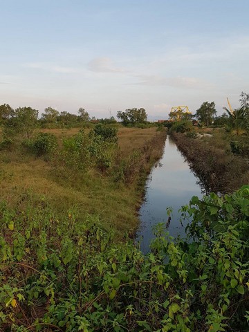 ขายที่ดิน ที่ดินเปล่า 23 ไร่ ใกล้สะพานศรีสุราษฎร์