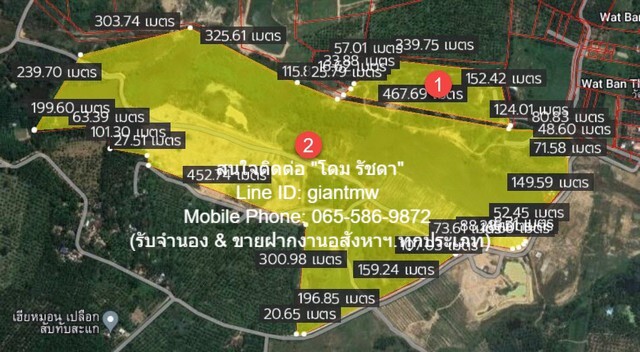 ที่ดินเปล่า อ.ทับสะแก 31-0-70 ไร่ (โฉนดครุฑแดง พร้อม ใบ ร.ง.4)