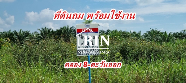 R006-031 ขายที่ดิน ถมแล้ว 319 ตรว. คลอง 8 ตะวันออก ต.บึงชำอ้อ อ.หนองเสือ จ.ปทุมธานี 0892049369คุณนก