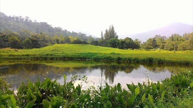 ขายที่ดินสวย วิวภูเขา อ.สอยดาว จ.จันทบุรี