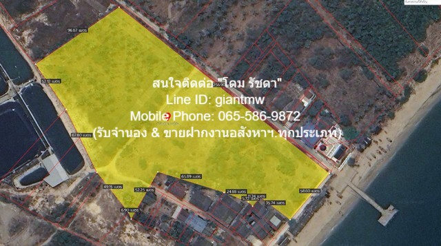 SaleLand ขายที่ดินเปล่าติดทะเล (ผังสีชมพู) ต.ห้วยทราย อ.เมืองประจวบ จ.ประจ