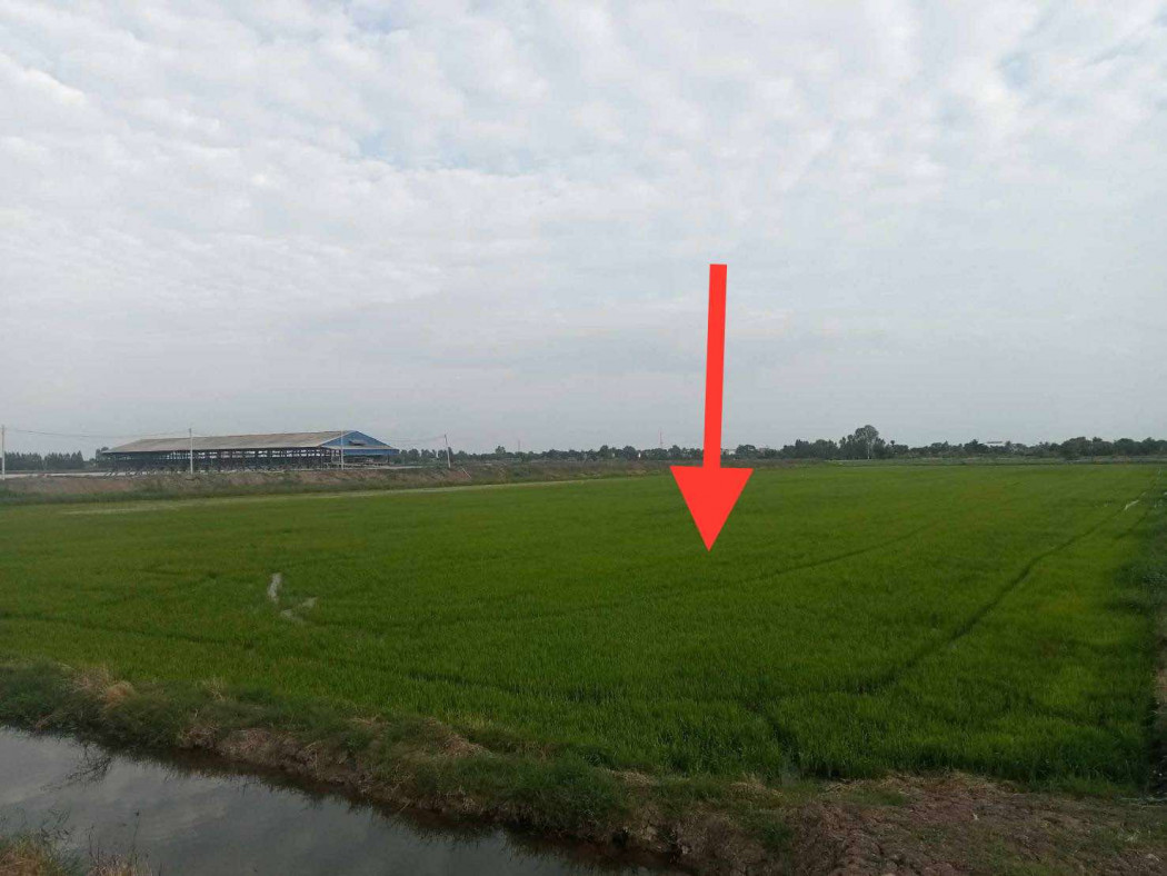 SaleLand Land for sale, very cheap, near Bangli Market, Song Phi Nong, Suphan Buri