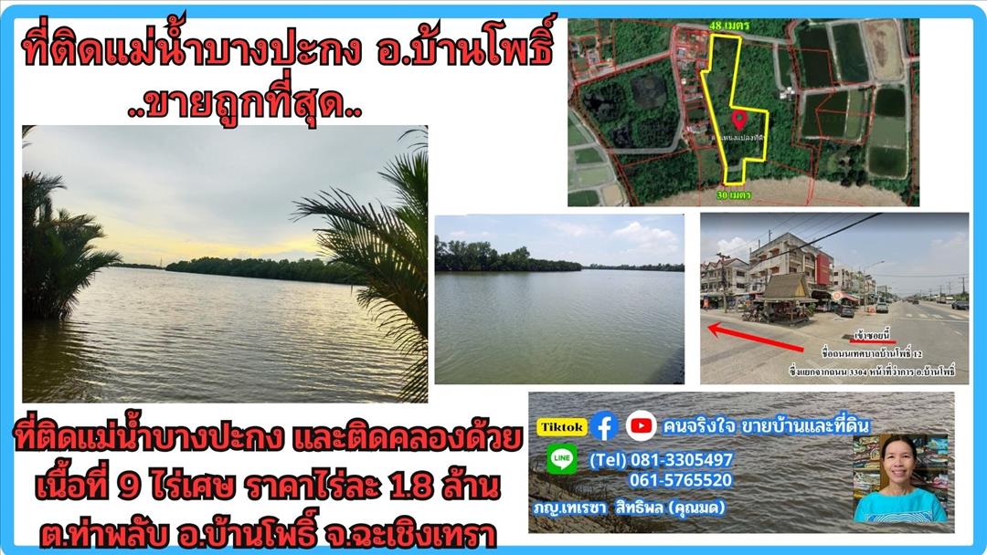 ขายที่ดิน  ขายที่ดินติดแม่น้ำบางปะกง 9 ไร่เศษ (ถมแล้วบางส่วน) ต.ท่าพลับ อ.บ้านโพธิ์ จ.ฉะเชิงเทรา