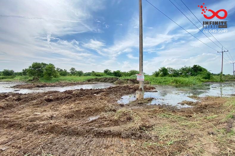 SaleLand Land for sale 