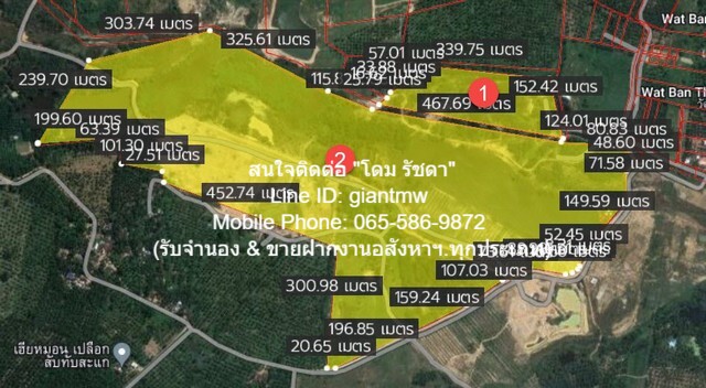 RentLand ให้เช่าที่ดินเปล่าทำการเกษตร 40 ไร่ (มีแหล่งน้ำ) อ.ทับสะแก จ.ประจ