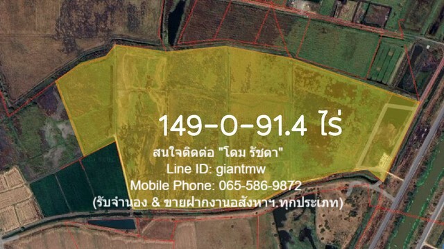 SaleLand ขายที่ดินเพื่อการเกษตรกรรม 149-0-91.4 ไร่ ต.หนองแก อ.พระพุทธบาท