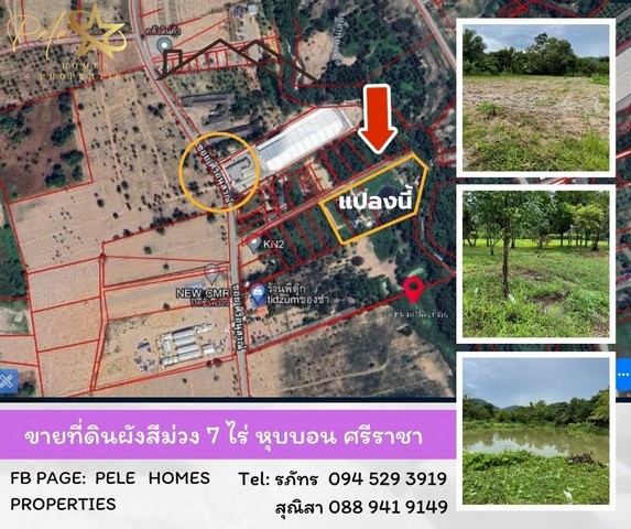 SaleLand ขายที่ดินผังสีม่วงถมแล้ว 7 ไร่ หุบบอน อำเภอศรีราชา ชลบุรี 