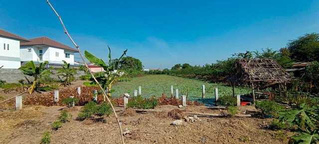 ขายที่ดิน 4 ไร่ ติดหมู่บ้านบางบัวทอง 4 แปลงสวย 