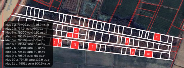 ขายที่ดิน ทีดินจัดสรร 11 แปลง ใกล้มหาวิทยาลัยพิษณุโลก (แปลงที่ 6)