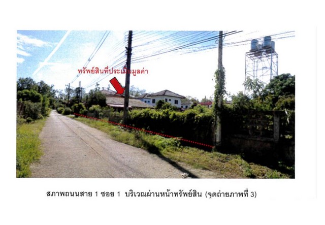 ขายที่ดิน ขายที่ดิน  อำเภอเชียงแสน  จังหวัดเชียงราย  เนื้อที่ 50 ตร.ว