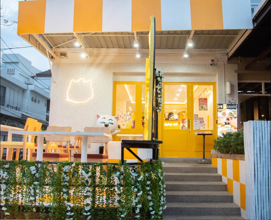 ขายออฟฟิศ เซ้งร้านอาหาร เชียงใหม่ ตึกใบหยกจ๊าว ใจกลางเมือง ใกล้แหล่งท่องเที