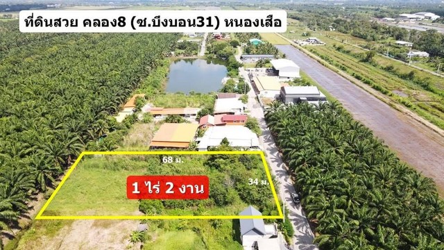 ขายที่ดิน คลอง8 (ซอยบึงบอน31) หนองเสือปทุมธานี 1 ไร่ 200 ตร.ว.