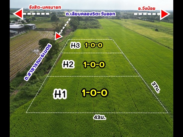 ขายที่ดิน ขายที่ดิน คลองห้า คลองหลวงซอยตะวันออก(ศาลเจ้าแม่) ปทุมธานี 