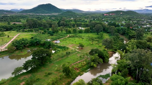 ขายที่ดินติดแม่น้ำเพชรบุรี โฉนดครุฑแดง เขตเทศบาลท่ายาง จังหวัดเพช