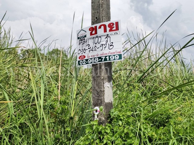 ที่ดินเปล่า 100 ตร.ว. คลอง 5 คลองหลวง - ปทุมธานี  