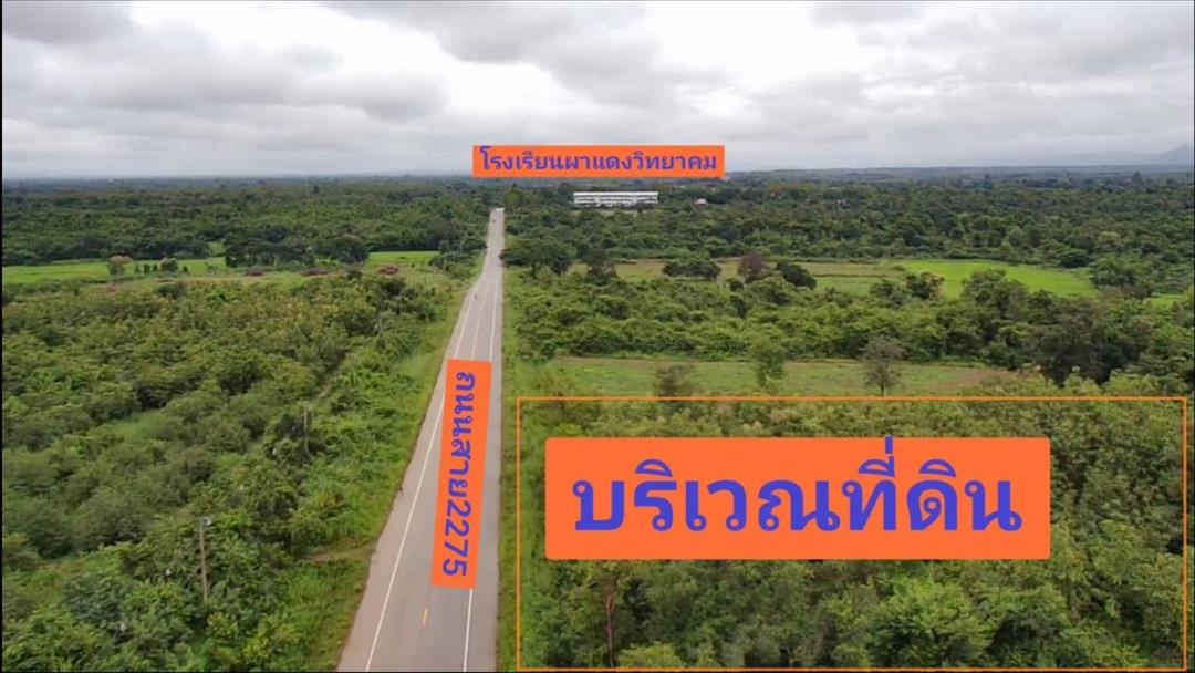 ขายที่ดินพร้อมไม้สักทอง 13 ปี อำเภอหล่มสัก จังหวัดเพชรบูรณ์ 