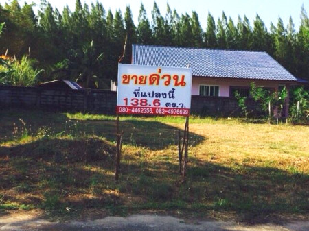 ขาย ที่ดิน ในหมู่บ้านแสงตะวันลากูน่า เมืองนครศรีธรรมราช 64.2 ตร.วา แปลงมุม เงียบสงบ เหมาะสร้างบ้านอยู่อาศัย