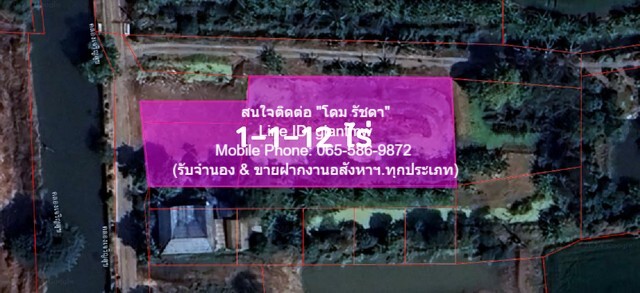 ขายที่ดิน ขายที่ดินเปล่า (แปลงมุม) แถวคลองประปามหาสวัสดิ์ อ.บางใหญ่ 1-1-12 