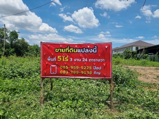 ขายที่ดิน ขายที่ดินทำเลดี หน้ากว้าง 40 เมตร ลึก 240 เมตร จังหวัดนนทบุรี