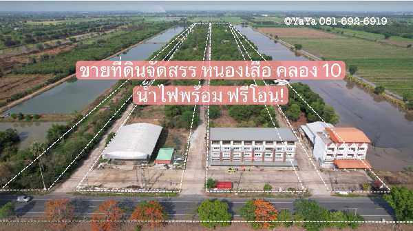  ขาย ที่ดินจัดสรร ต.บึงบา อ.หนองเสือ คลอง 10