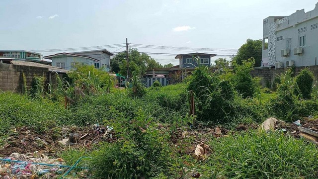 ที่ดินถมแล้ว ซอย ประชาอุทิศ 61 แยก 2 หลังตลาดสด 61 ห่าง 100 