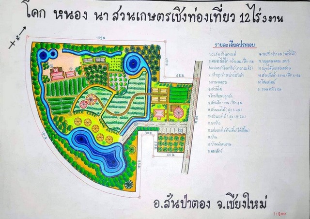 ขายที่ดิน ขายที่ดินตำบลบ้านกลาง อำเภอสันป่าตอง จังหวัดเชียงใหม่ เนื้อที่ 13