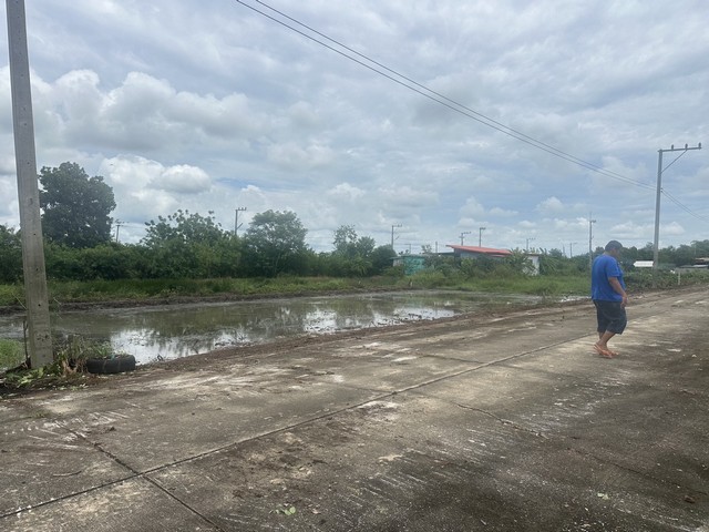 ขายที่ดิน คลอง11 อำเภอหนองเสือ  จังหวัดปทุมธานี 