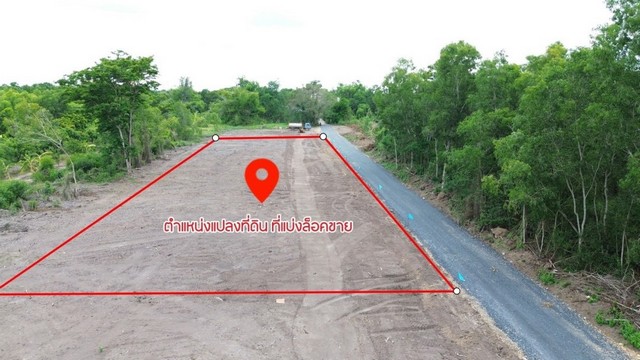 ขายที่ดิน ขายที่ดิน พิกัดคลอง 10 บึงบา หนองเสือ ปทุมธานี   