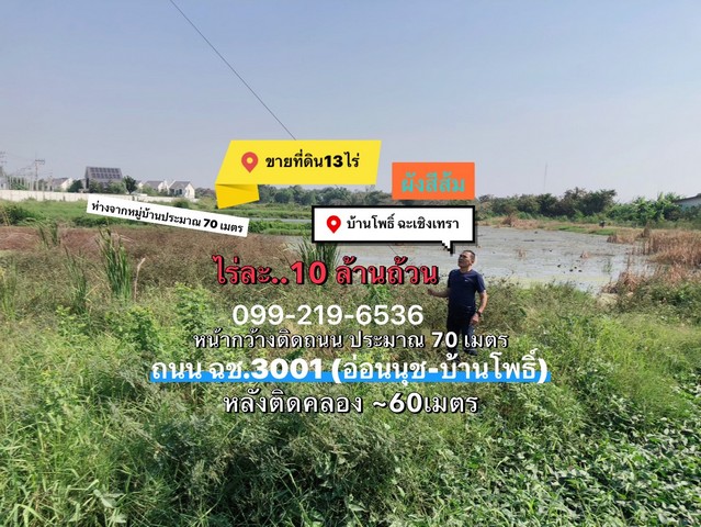 ที่ดินบ้านโพธิ์ฉะเชิงเทรา 13-2-99 ไร่  ผังสีส้ม