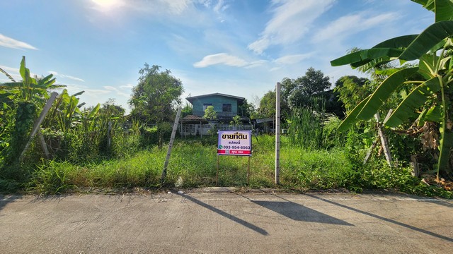 ขายที่ดิน รังสิต คลอง8  ปทุมธานี