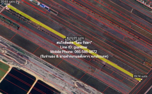 ขายที่ดิน ขายที่ดินทุ่งนาติดถนน ต.คลองเปร็ง อ.เมืองฉะเชิงเทรา 13-0-24.9 ไร่