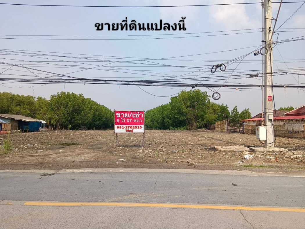 ขายที่ดิน ขายที่ดินเนื้อที่ 8-0-57 ไร่ ซ.เทียนทะเล 25 เหมาะสร้างโรงงานหรือโกดังสินค้า