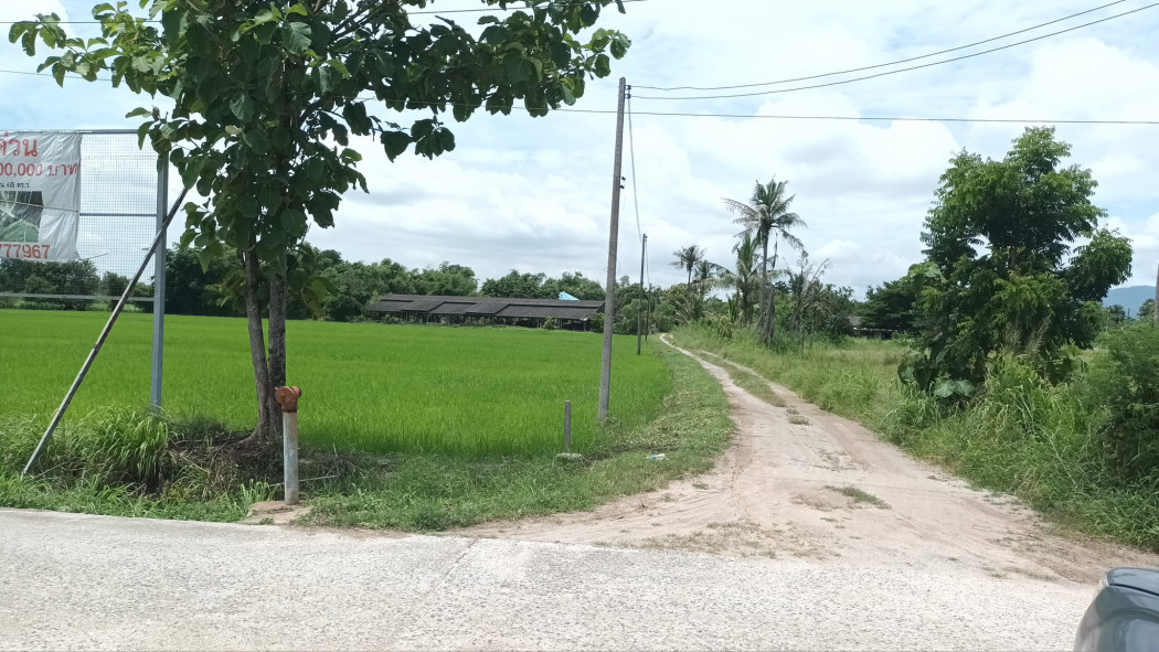 ขายที่ดิน ขายโรงเรือนพร้อมที่ดินเนื้อที่ 1 ไร่ หนองตำลึงซอย7 น้ำ-ไฟพร้อม ใกล้นิคมอมตะชลบุรี-12กม. อ.พานทอง จ.ชลบุรี